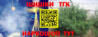 ешки Камышлов