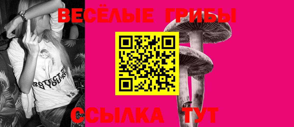 Галлюциногенные грибы мухоморы  Вход с VPN  Псилоцибиновые грибы мухоморы  купить закладку  Курчалой 