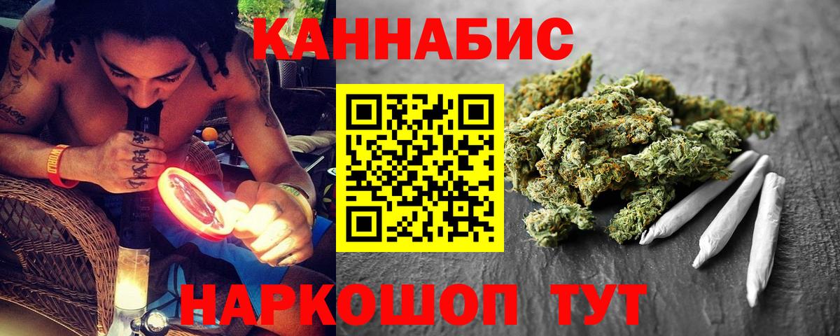 Бошки Шишки MAZAR Курчалой